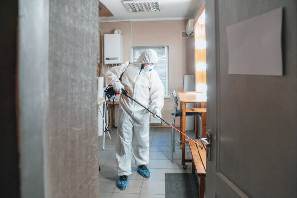 Best Airborne Mold Testing  in Rio Rancho, NM