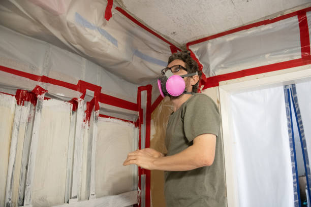 Best Biohazard Mold Removal  in Rio Rancho, NM