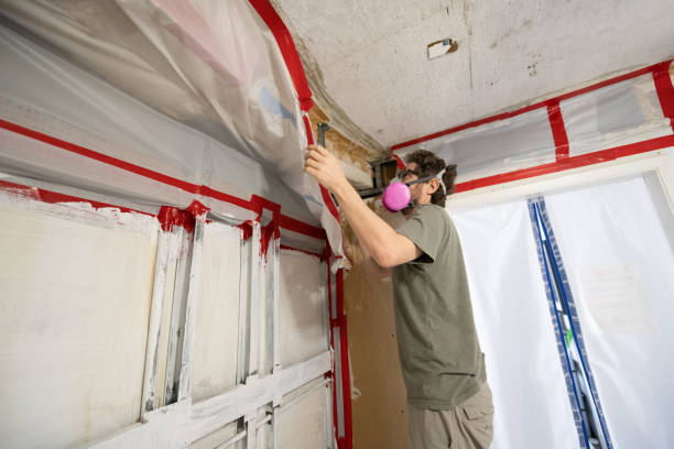 Best Crawl Space Mold Remediation  in Rio Rancho, NM