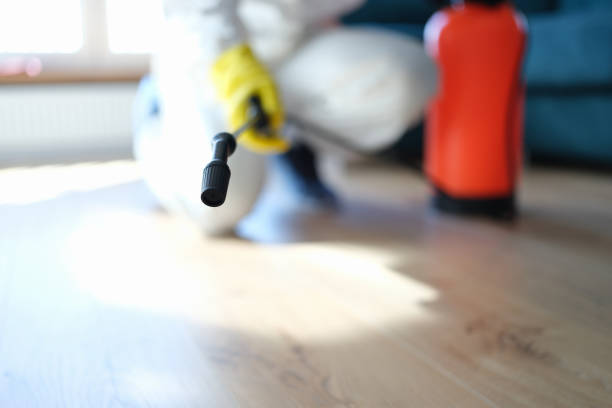 Best Dehumidification Services  in Rio Rancho, NM