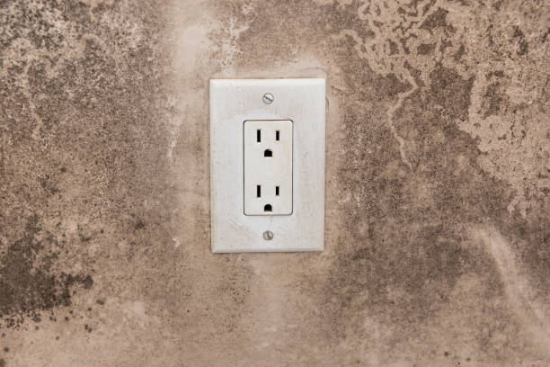 Best Water Damage & Mold Remediation  in Rio Rancho, NM